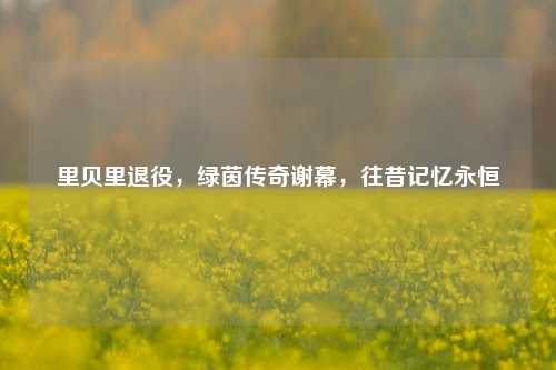 里贝里退役,绿茵传奇谢幕,往昔记忆永恒