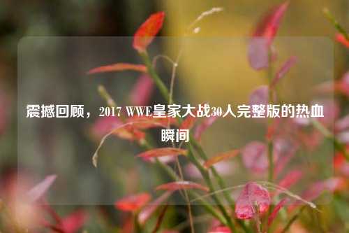 震撼回顾,2017 WWE皇家大战30人完整版的热血瞬间