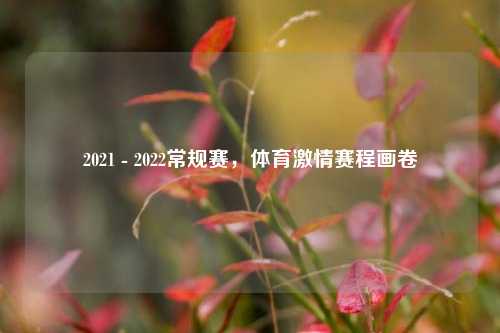 2021 - 2022常规赛,体育 赛程画卷