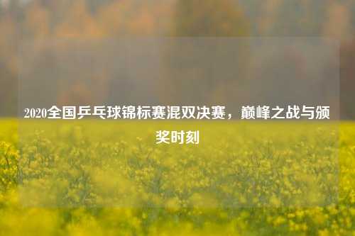 2020全国乒乓球锦标赛混双决赛,巅峰之战与颁奖时刻