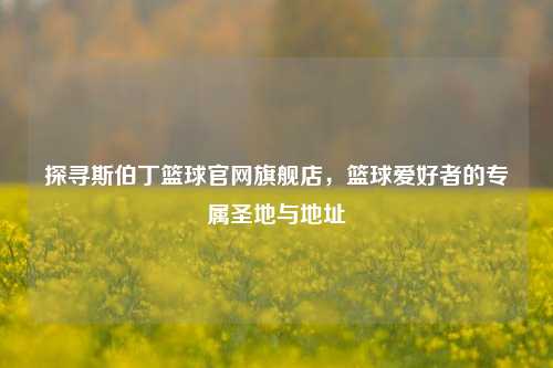 探寻斯伯丁篮球官网旗舰店,篮球爱好者的专属圣地与地址