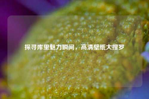 探寻库里魅力瞬间,高清壁纸大搜罗
