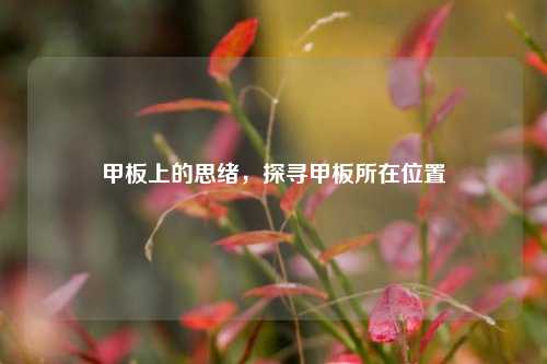 甲板上的思绪,探寻甲板所在位置