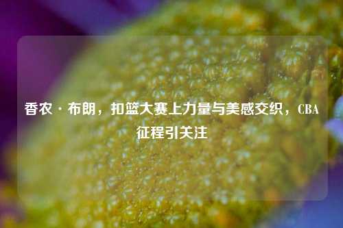 香农·布朗,扣篮大赛上力量与美感交织,CBA征程引关注