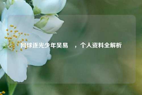 网球逐光少年吴易昺,个人资料全解析