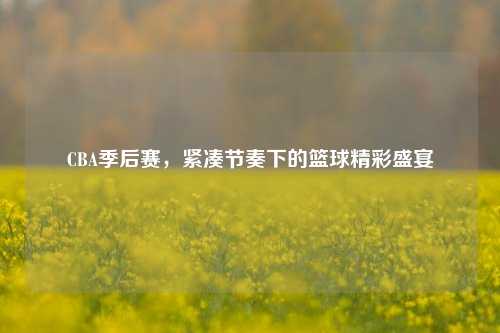 CBA季后赛,紧凑节奏下的篮球精彩盛宴