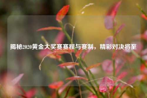 揭秘2020黄金大奖赛赛程与赛制,精彩对决将至