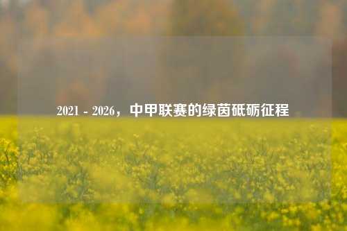 2021 - 2026,中甲联赛的绿茵砥砺征程