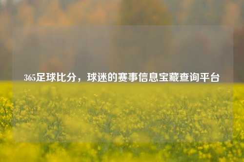 365足球比分,球迷的赛事信息宝藏查询平台