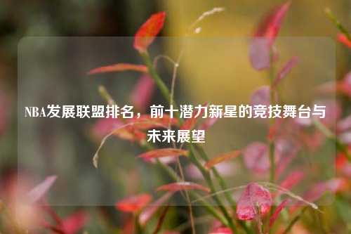 NBA发展联盟排名,前十潜力新星的竞技舞台与未来展望