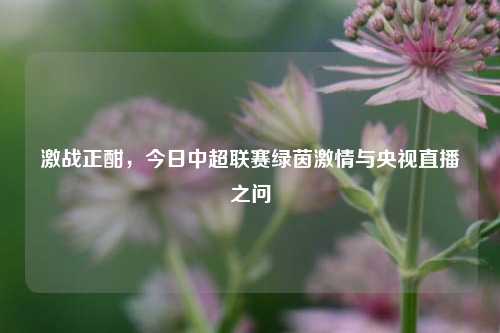 激战正酣,今日中超联赛绿茵 与央视直播之问