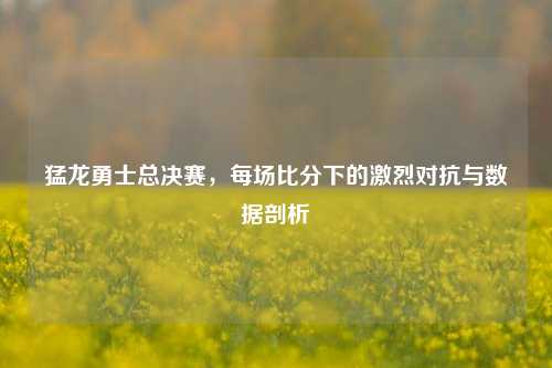 猛龙勇士总决赛,每场比分下的激烈对抗与数据剖析