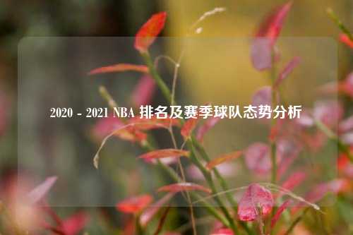 2020 - 2021 NBA 排名及赛季球队态势分析