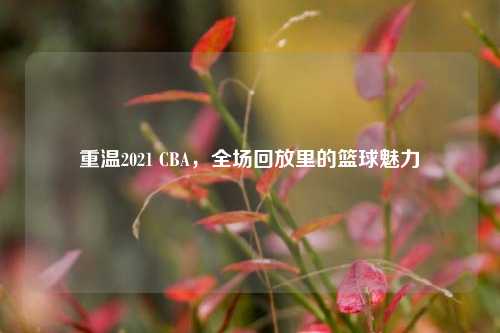 重温2021 CBA,全场回放里的篮球魅力
