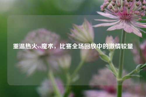 重温热火vs魔术,比赛全场回放中的 较量