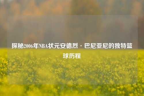 探秘2006年NBA状元安德烈·巴尼亚尼的独特篮球历程