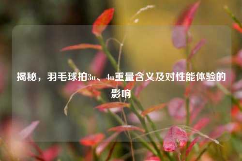 揭秘,羽毛球拍3u、4u重量含义及对性能体验的影响