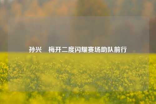 孙兴慜梅开二度闪耀赛场助队前行