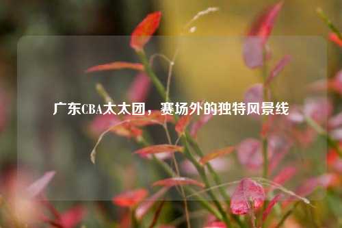广东CBA太太团,赛场外的独特风景线