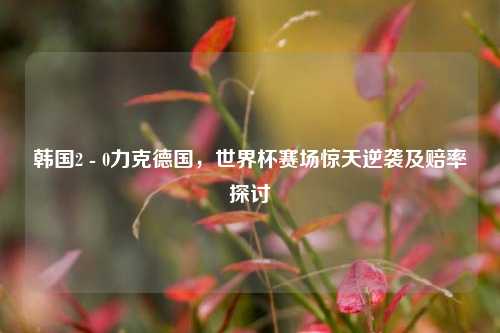 韩国2 - 0力克德国,世界杯赛场惊天逆袭及赔率探讨