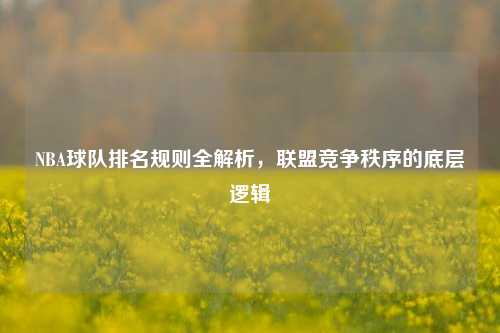 NBA球队排名规则全解析,联盟竞争秩序的底层逻辑