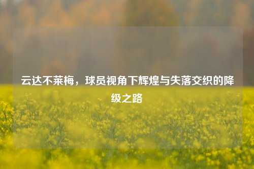 云达不莱梅,球员视角下辉煌与失落交织的降级之路