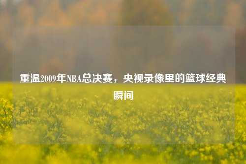 重温2009年NBA总决赛,央视录像里的篮球经典瞬间
