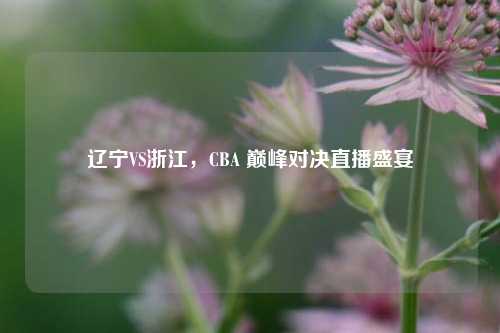 辽宁VS浙江,CBA 巅峰对决直播盛宴
