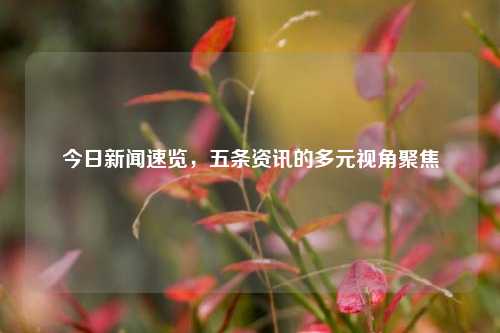 今日新闻速览,五条资讯的多元视角聚焦