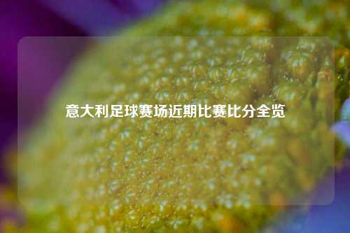 意大利足球赛场近期比赛比分全览