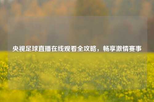 央视足球直播在线观看全攻略,畅享 赛事