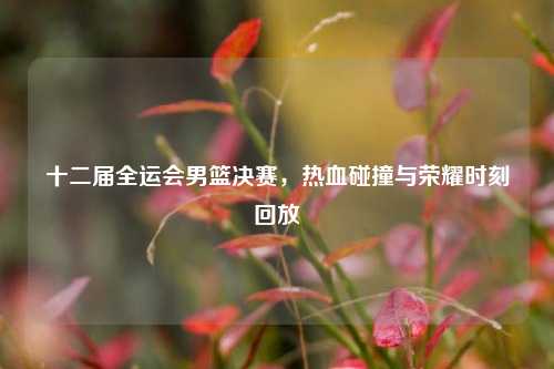 十二届全运会男篮决赛,热血碰撞与荣耀时刻回放