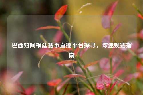巴西对阿根廷赛事直播平台探寻,球迷观赛指南