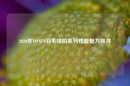 2020年YONEX羽毛球拍系列性能魅力探寻