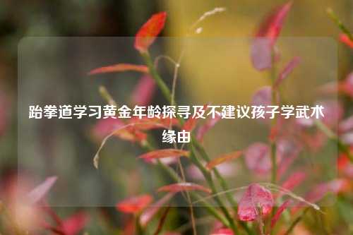 跆拳道学习黄金年龄探寻及不建议孩子学武术缘由