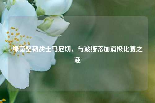 绿茵坚韧战士马尼切,与波斯蒂加消极比赛之谜