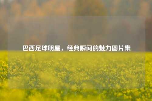 巴西足球明星,经典瞬间的魅力图片集