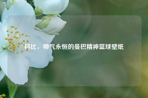 科比,帅气永恒的曼巴精神篮球壁纸