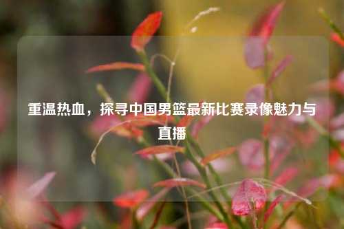 重温热血,探寻中国男篮最新比赛录像魅力与直播
