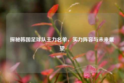 探秘韩国足球队主力名单,实力阵容与未来展望