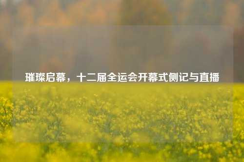 璀璨启幕,十二届全运会开幕式侧记与直播