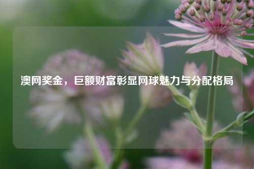澳网奖金,巨额财富彰显网球魅力与分配格局