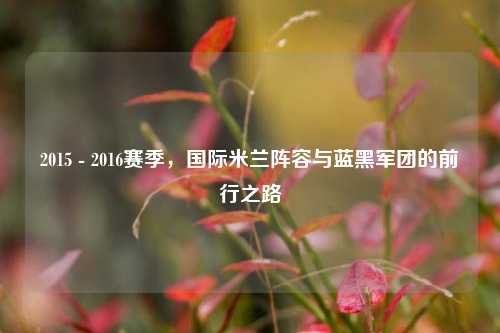 2015 - 2016赛季,国际米兰阵容与蓝黑军团的前行之路