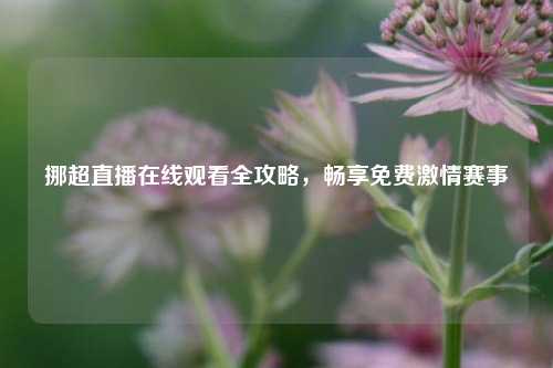 挪超直播在线观看全攻略,畅享免费 赛事