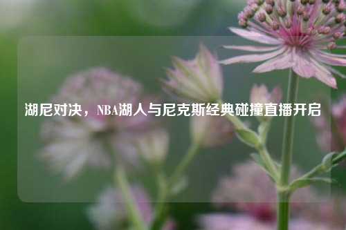 湖尼对决,NBA湖人与尼克斯经典碰撞直播开启