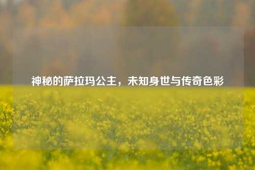 神秘的萨拉玛公主,未知身世与传奇色彩