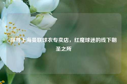 探寻上海曼联球衣专卖店,红魔球迷的线下朝圣之所