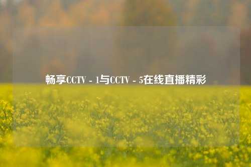 畅享CCTV - 1与CCTV - 5在线直播精彩