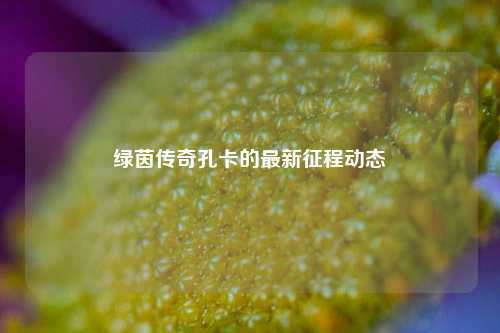 绿茵传奇孔卡的最新征程动态