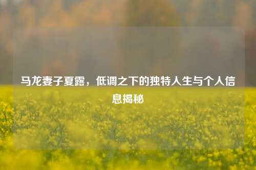 马龙妻子夏露,低调之下的独特人生与个人信息揭秘